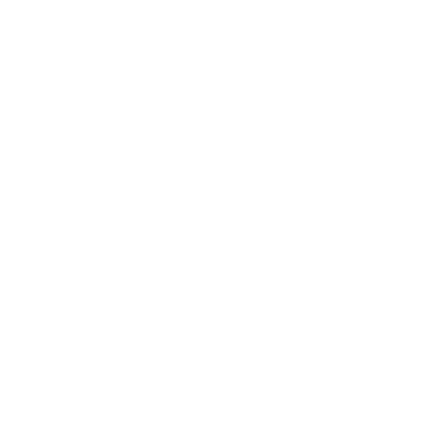 IRISES DECOR